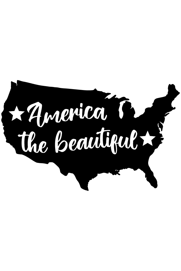 America Etching - Image 4