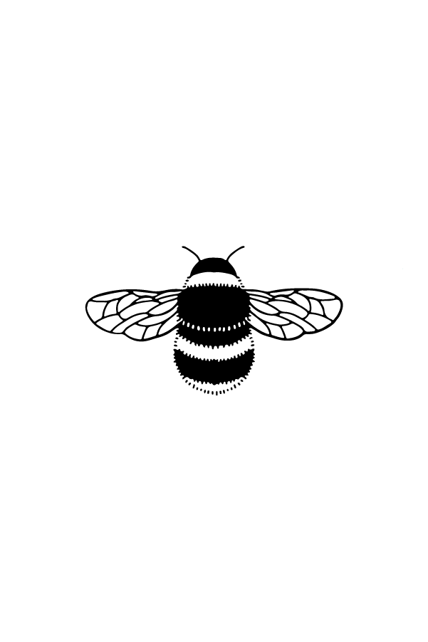 Animals Etching - Image 4