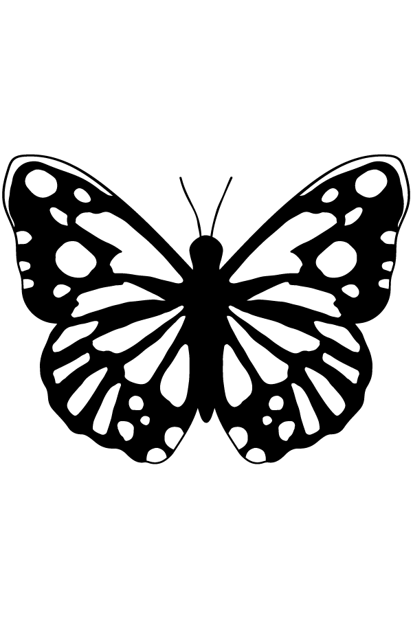 Animals Etching - Image 5