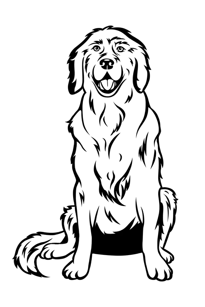 Pets Etching - Image 2