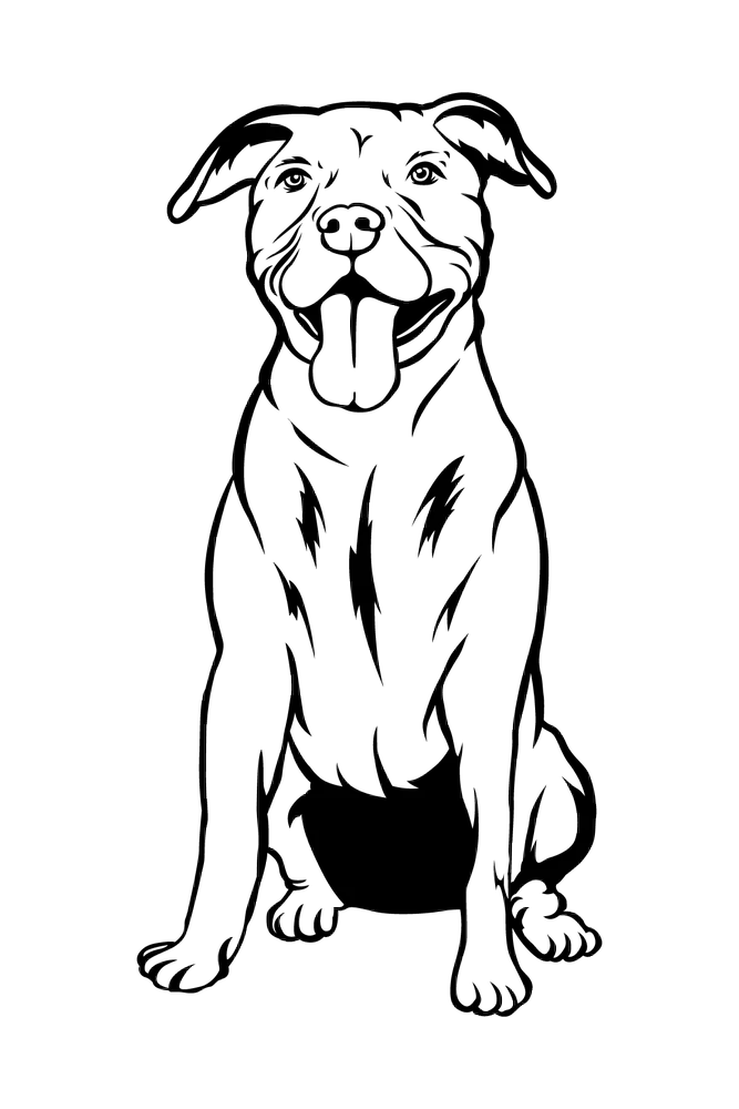 Pets Etching - Image 4