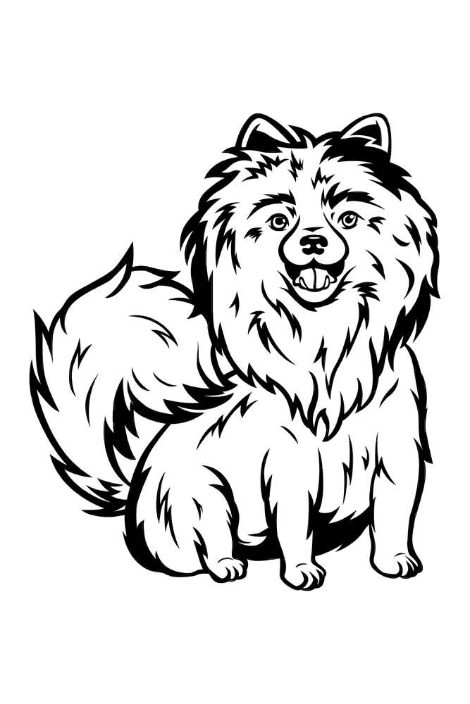 Pets Etching - Image 5