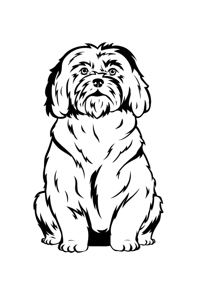 Pets Etching - Image 6