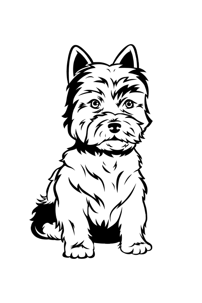 Pets Etching - Image 7