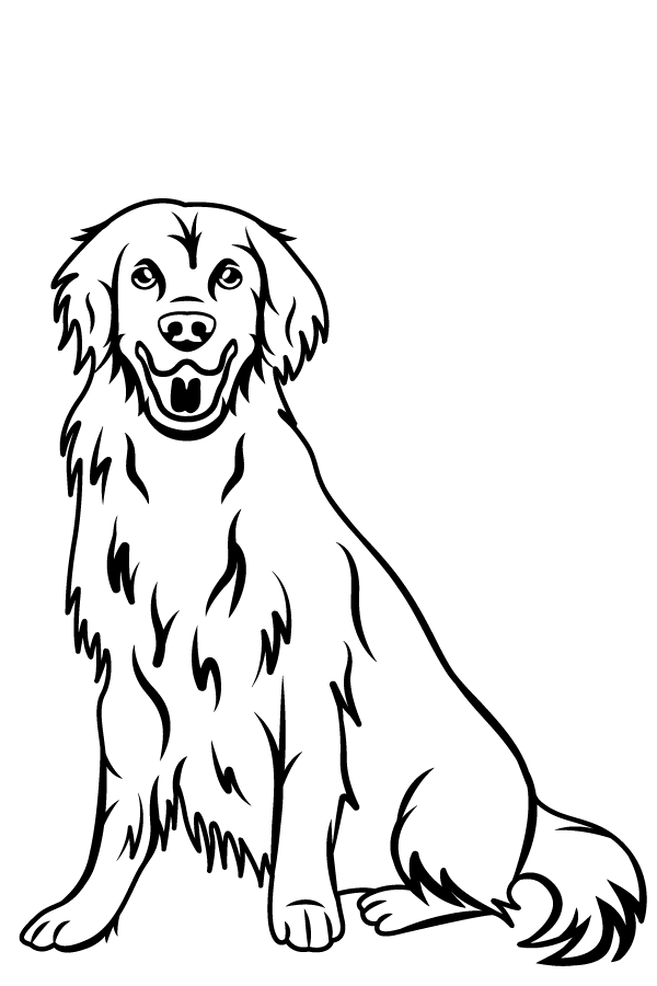 Animals Etching - Image 17