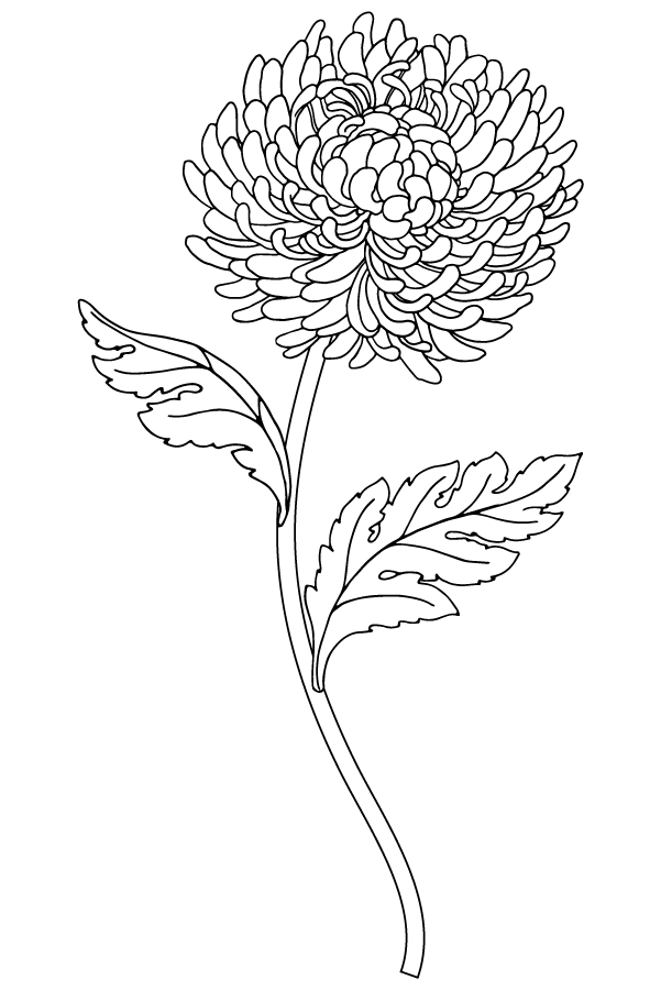 Outdoors Etching - Image 8