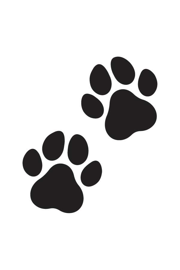 Animals Etching - Image 12