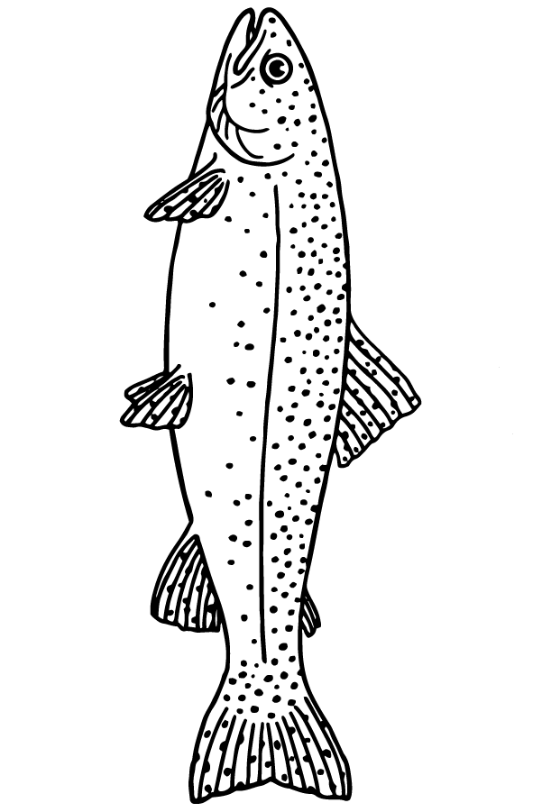 Animals Etching - Image 15