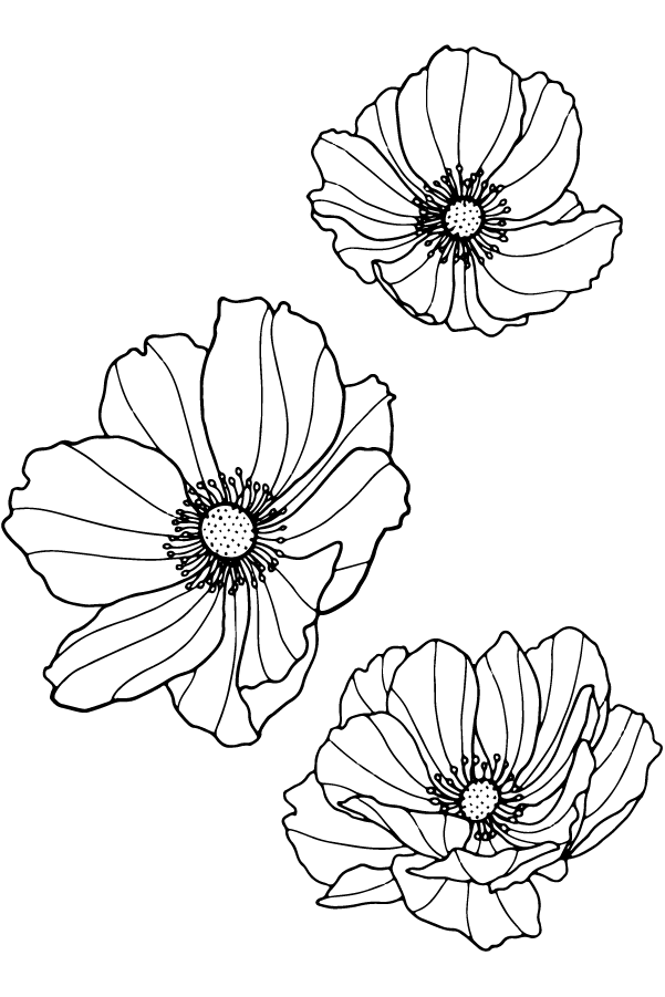 Outdoors Etching - Image 14